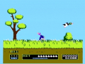 Duck Hunt.png